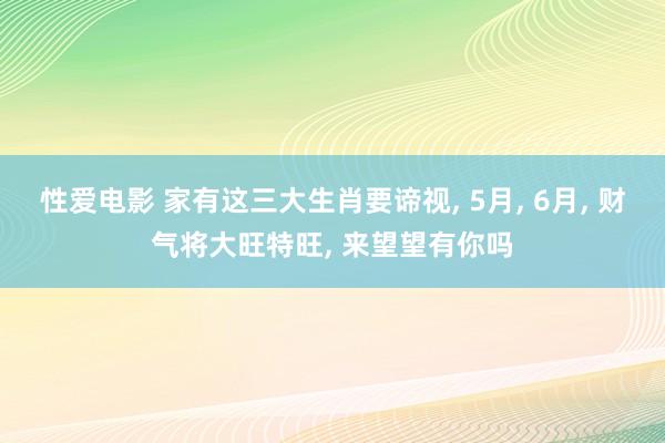 性爱电影 家有这三大生肖要谛视, 5月, 6月, 财气将大旺