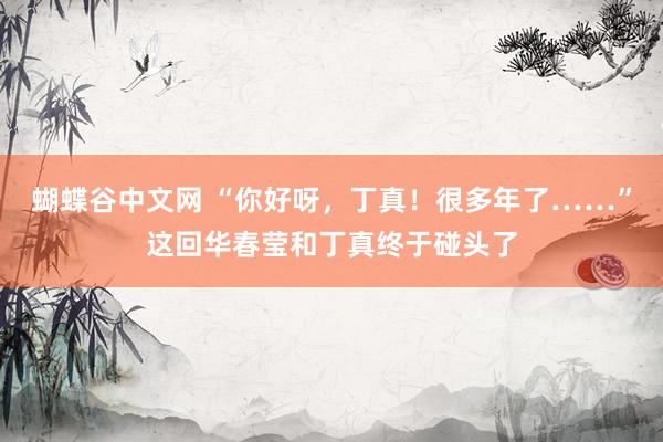 蝴蝶谷中文网 “你好呀，丁真！很多年了……”这回华春莹和丁真